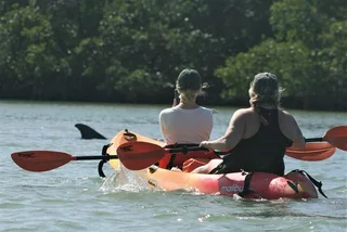 Naples Kayak Rental
