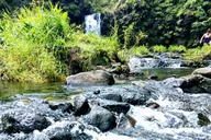 Maui Private Tour to Black Sand Beach and Waterfalls thumbnail 3