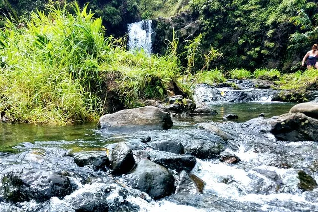Maui Private Tour to Black Sand Beach and Waterfalls - Image 3