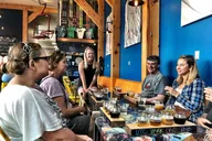 Seward Alaska Crafted Tour and Cruise Transfer thumbnail 3