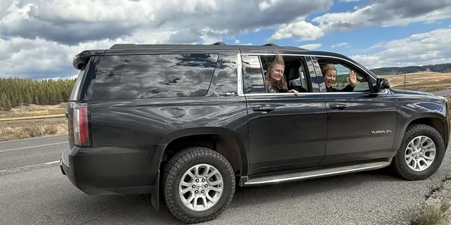 Yellowstone Private Lower Loop Tour with Lunch - Image 3
