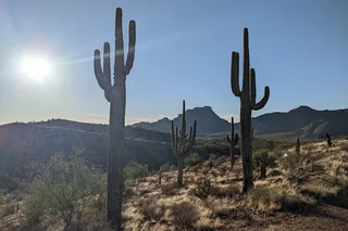Phoenix Desert Copper Mile Hike