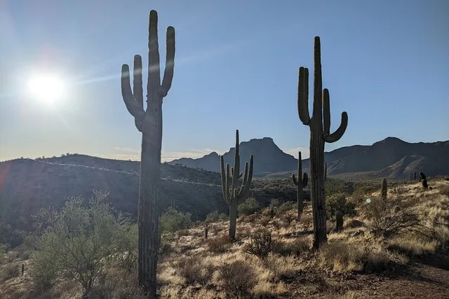 Phoenix Desert Copper Mile Hike - Image 1