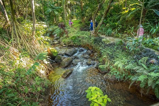 Princeville Botanical Gardens Chocolate Tasting Tour - Image 1