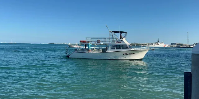 Key West Scuba Diving Refresher Course - Image 5