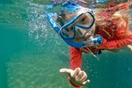 West Palm Beach Snorkel Tour with Turtles thumbnail 4
