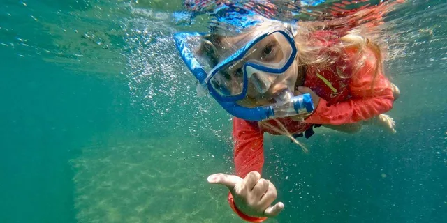 West Palm Beach Snorkel Tour with Turtles - Image 4