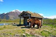 Anchorage to Whittier Private Cruise Transfer thumbnail 1