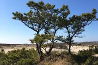 Cape Cod National Seashore Guided Hike thumbnail 5