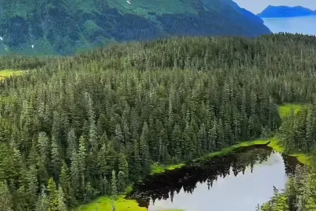 Seward Helicopter Tour Over Bear Glacier 30 min - Image 3