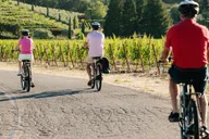 Healdsburg Electric Bike Wine Tour thumbnail 5
