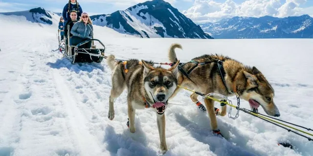 Seward Helicopter Glacier Dogsled Tour - Image 3