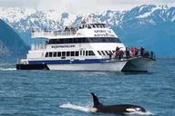 Seward Kenai Fjords National Park Glacier Cruise thumbnail 2