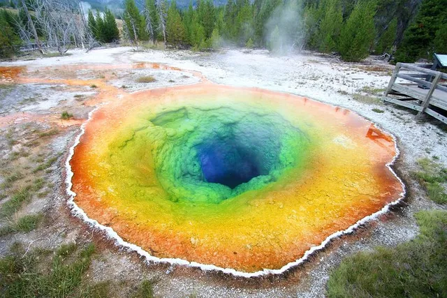 Yellowstone and Grand Teton Winter Tour 5-Day - Image 6