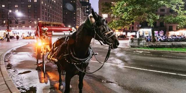 New York City Carriage Ride: Central Park & Rockefeller - Image 5