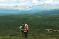 Denali Hiking Tour with Naturalist Guide 5 hr thumbnail 3