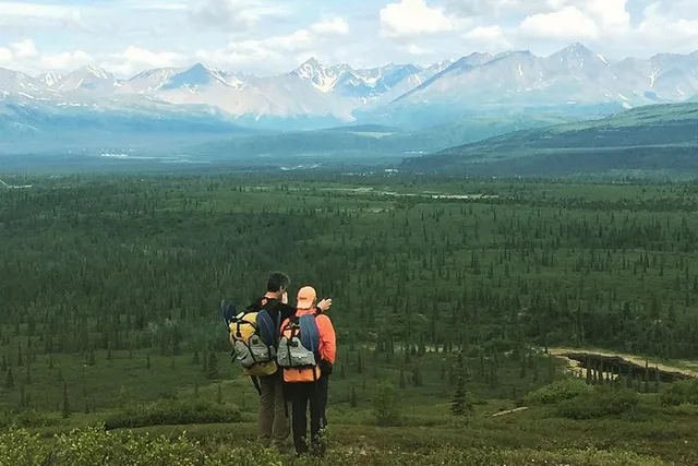 Denali Hiking Tour with Naturalist Guide 5 hr - Image 3