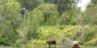 Palmer Knik River Kayak Tour Full Day
