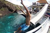 Kona Coast Snorkel Tour in Kealakekua Bay thumbnail 6