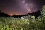 Salt Lake City Antelope Island Dark Sky Tour 4 hr thumbnail 1