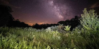 Salt Lake City Antelope Island Dark Sky Tour 4 hr