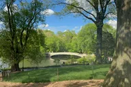 New York Central Park Horse Carriage Ride thumbnail 4