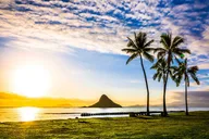 Oahu Grand Circle Island Tour with Snorkeling thumbnail 6