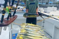 Key West Sportfishing Experience 4 Hours thumbnail 6