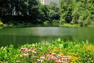 New York City Central Park Scenic Walk thumbnail 2