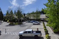 Seattle Snoqualmie Falls Private Tour 5 hr thumbnail 2