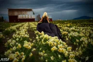 San Diego Flying Dress Photoshoot thumbnail 3