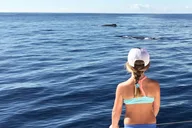 Oahu Snorkel Trip on a Yacht thumbnail 3