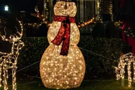 New York Dyker Heights Christmas Lights Tour thumbnail 1