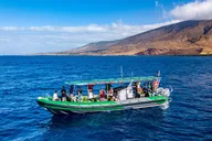Ka'anapali Snorkel Adventure 2 hr thumbnail 5