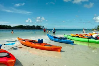 St. Petersburg Kayak Adventure at Shell Key Preserve
