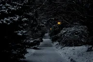 Chapel Hill True Crime Walking Tour 60 min thumbnail 5