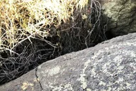 Sedona Archeology and Nature Hike thumbnail 4