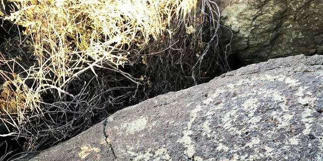 Sedona Archeology and Nature Hike - Image 4