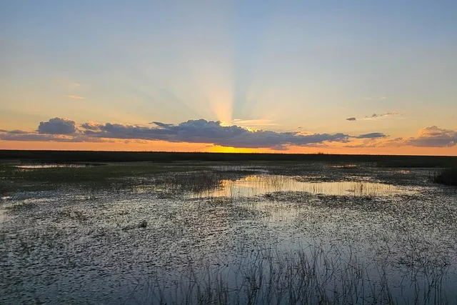 Everglades Airboat Safari - Image 5