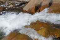 Estes Park Hiking and Bear Lake Corridor Tour thumbnail 1