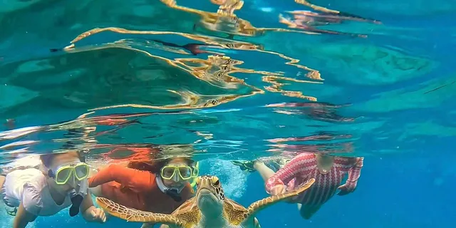 West Palm Beach Peanut Island Boat & Snorkel Tour - Image 6
