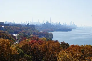 New York City Fall Foliage Cruise