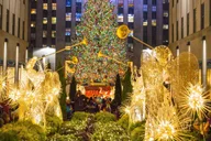 New York City Holiday Donut Tour thumbnail 1