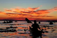 Deception Pass Kayak Tour 90 Min thumbnail 5