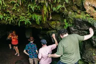 Hilo Volcano Hike with Lunch and Dinner thumbnail 5