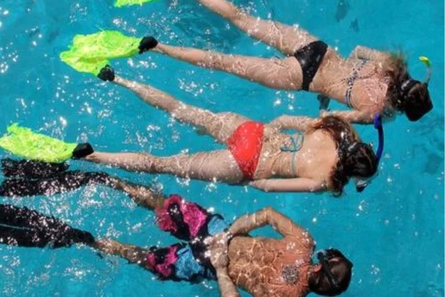 Miami Snorkeling Tour for Beginners 2 hr - Image 1