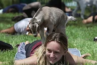 Fredericksburg Baby Goat Cuddling and Wine Tour 30 min thumbnail 3