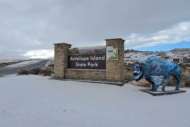 Salt Lake City Safari Tour to Antelope Island - Image 5