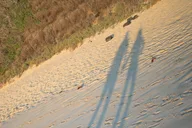 Honolulu Photo and Video Tour thumbnail 4