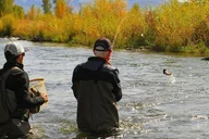 Park City Fly Fishing Experience thumbnail 3